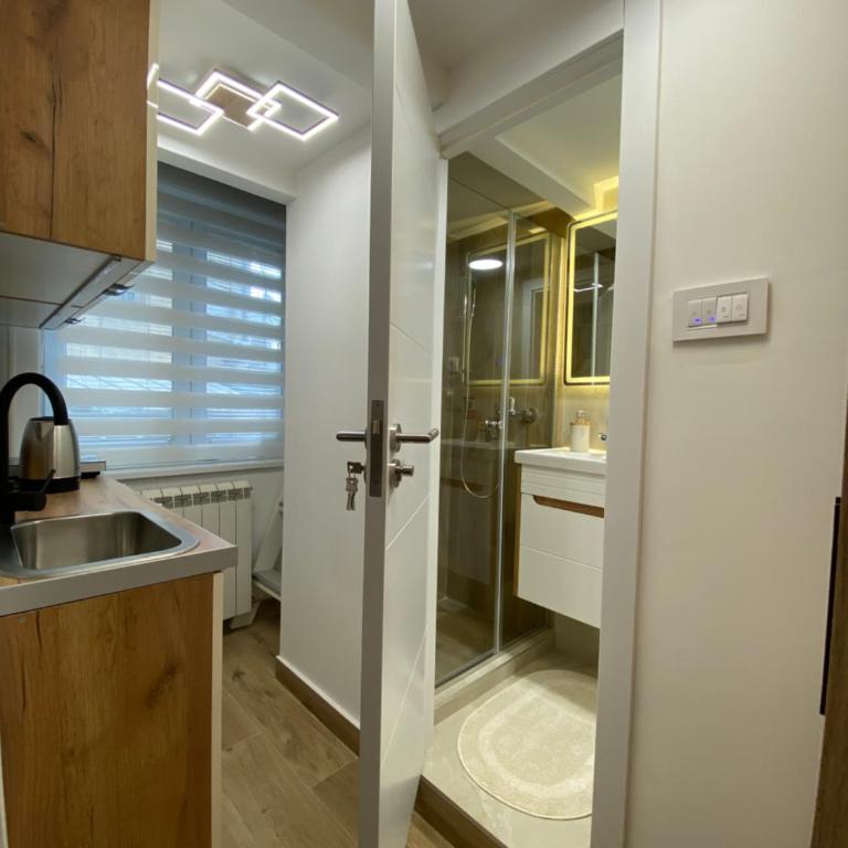 Lux Vracar St Sava Temple - Apartman sa 1 Spavaćom Sobom - 11