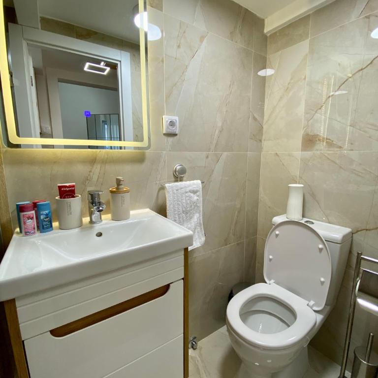 Lux Vracar St Sava Temple - Apartman sa 1 Spavaćom Sobom - 15