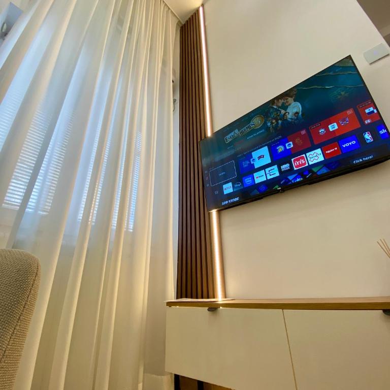 Lux Vracar St Sava Temple - Apartman sa 1 Spavaćom Sobom - 21