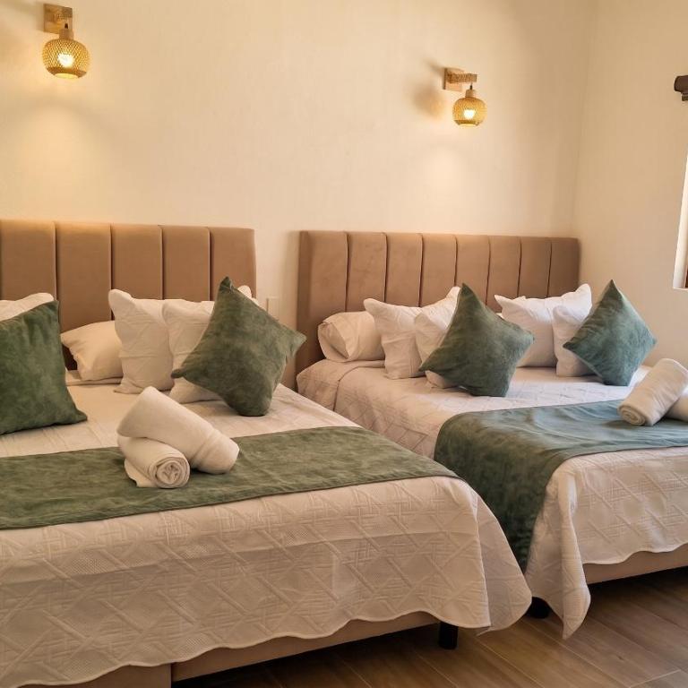Hotel Los Olivos - Apartment - Ground Floor - 7