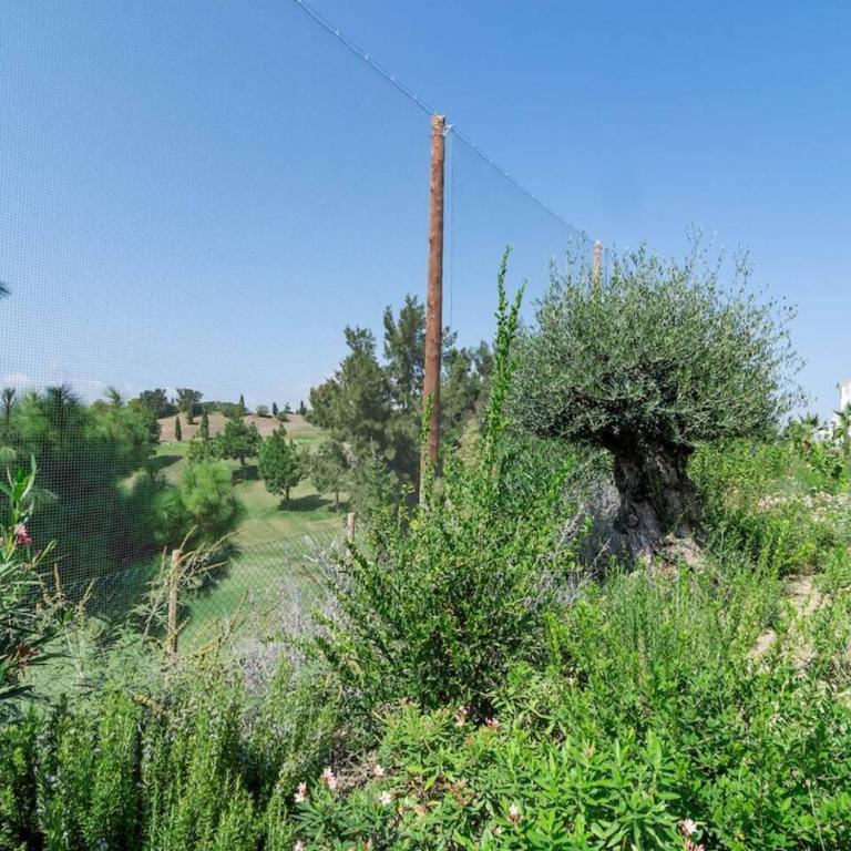 DJA- Modern 2 bedroom apartment close to beach - Apartamento - 34