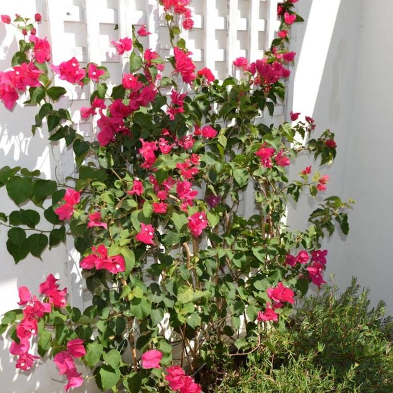 Rsh14A - Penthouse With Terrace And Hot Tub - Three-Bedroom Apartment with Balcony - 35