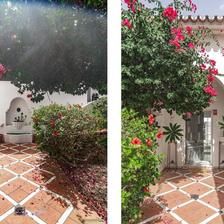 Villa Alegre - Charming Villa With Private Pool - Casa Deluxe de 4 dormitorios - Frente al mar - 60