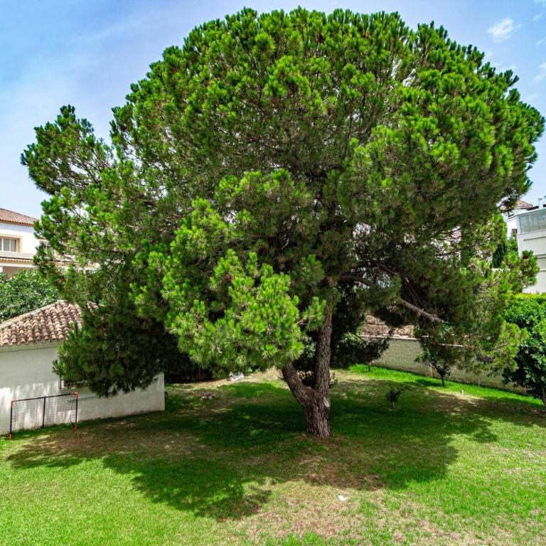 Villa Alegre - Charming Villa With Private Pool - Casa Deluxe de 4 dormitorios - Frente al mar - 63