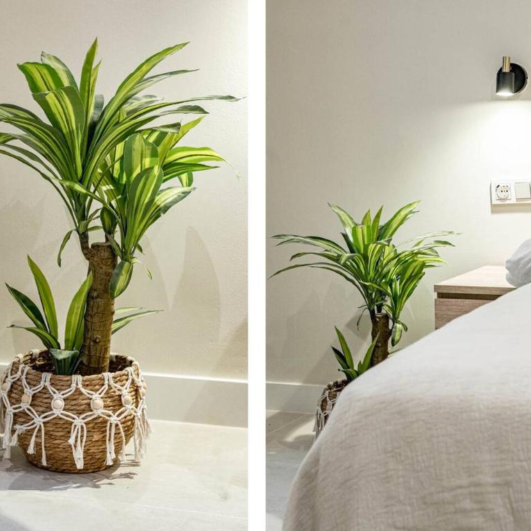 Terr69- Bright City Gem In Charming Old Town - Appartamento con 3 Camere da Letto e con Balcone - 29