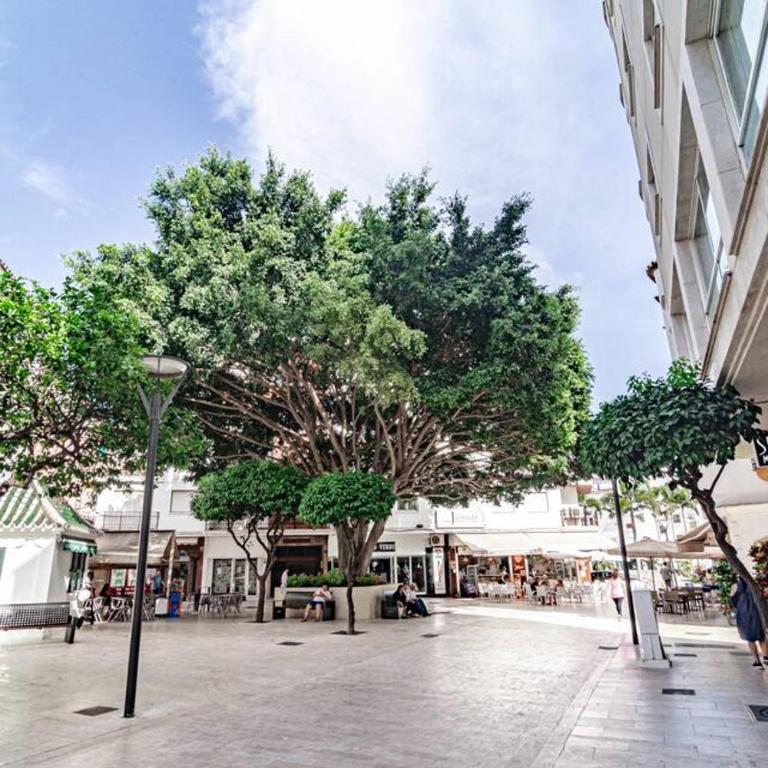 Terr69- Bright City Gem In Charming Old Town - Appartamento con 3 Camere da Letto e con Balcone - 72