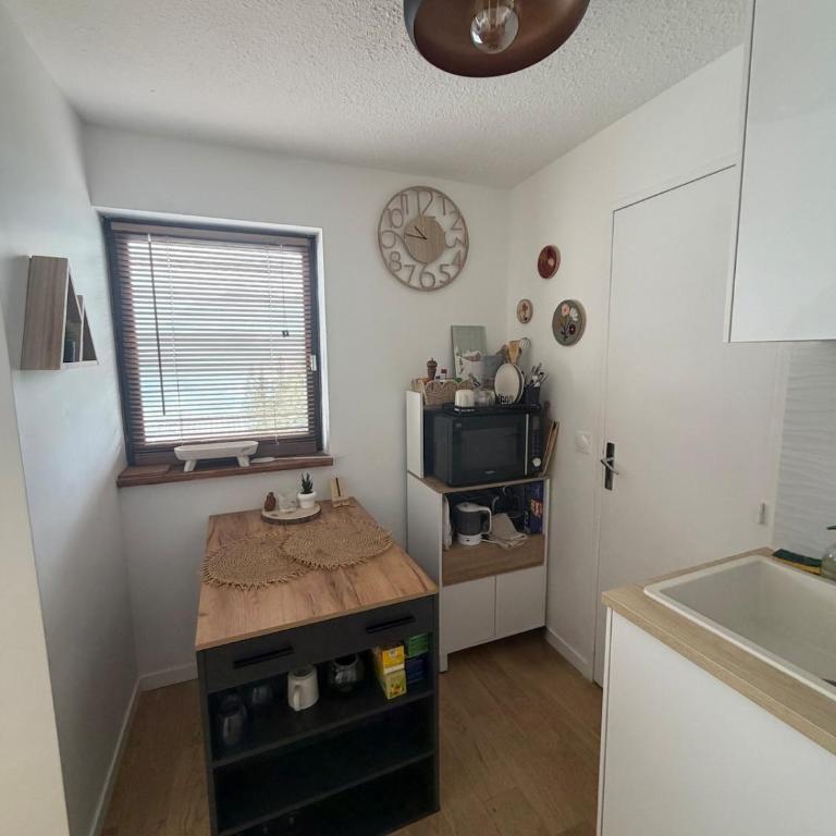Studio cosy au cœur des Alpes - Apartment mit 1 Schlafzimmer - 3