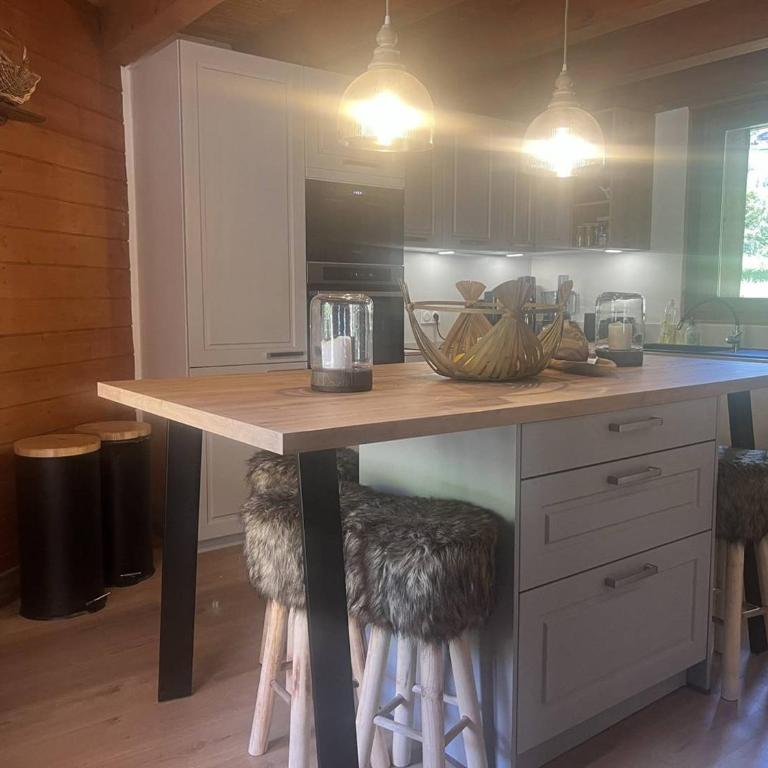 Chalet spacieux au pied des pistes - 10 pers. - FR-1-886-69 - Chalet - 2