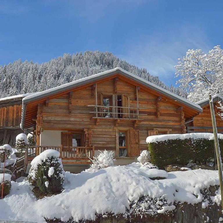 Chalet spacieux au pied des pistes - 10 pers. - FR-1-886-69 - Chalet - 8