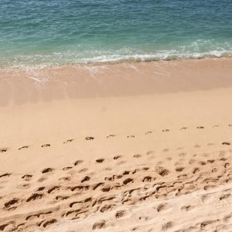 Gorgeous Villa in Cabo with Ocean and Lands End View, private swimmable beach, Pools, sleeps 8 - Villa con vistas al mar - 80