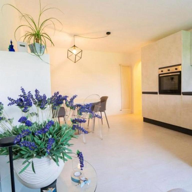 ASCONA ISOLA VERDE Familienfreundliche sonnige Ferienwohnung mit 100m2 eigenem Garten & Klimaanlage - Appartamento con 1 Camera da Letto - 14