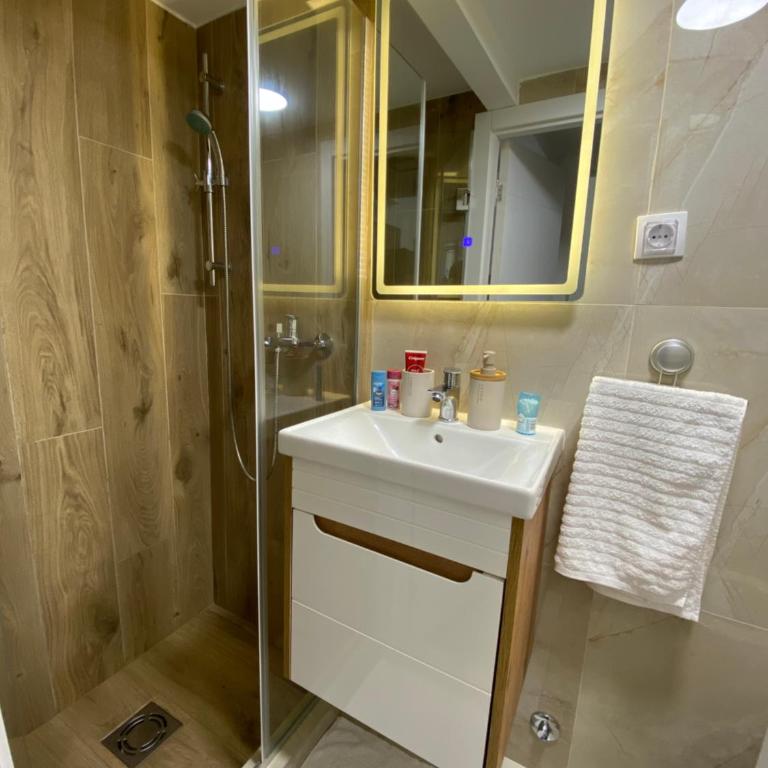 Lux Vracar St Sava Temple - Apartman sa 1 Spavaćom Sobom - 12