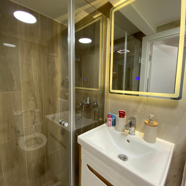 Lux Vracar St Sava Temple - Apartman sa 1 Spavaćom Sobom - 13