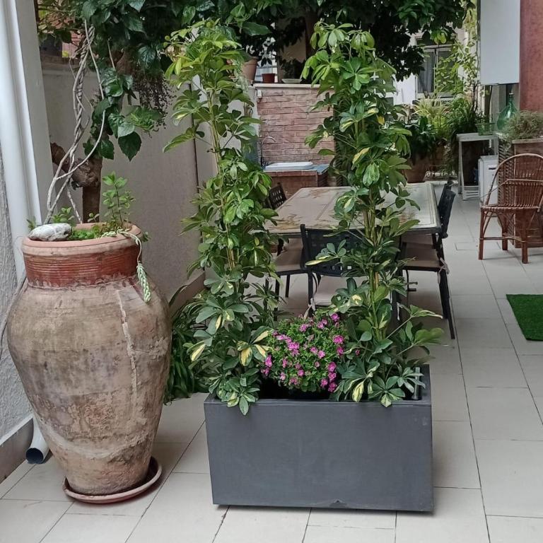 Donna Elsa apartment - Appartamento con 1 Camera da Letto - 12