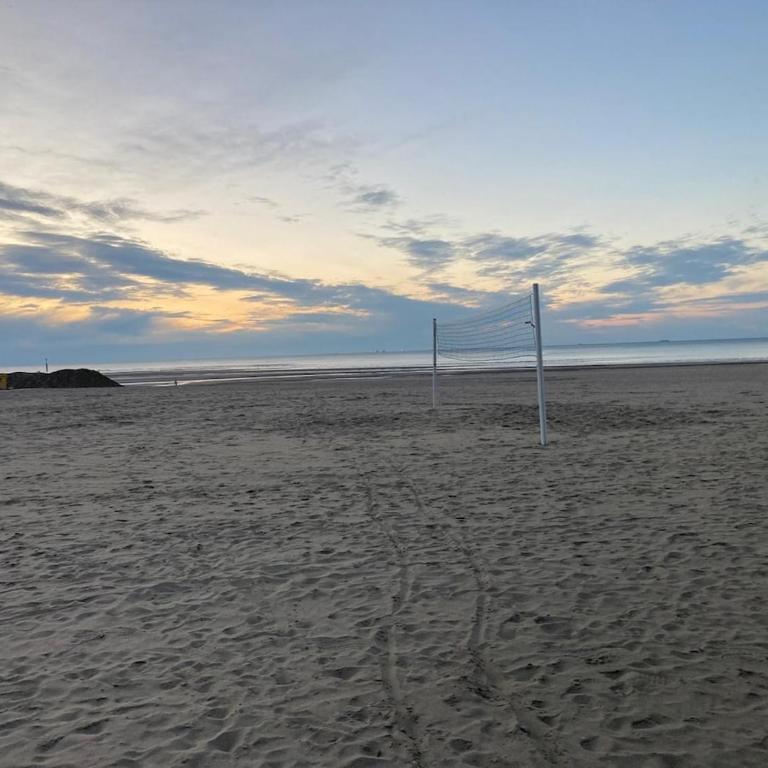 Côté Trouville, hyper centre, 30mètres de la plage, 40m2, Balneo - Apartment - Ground Floor - 29