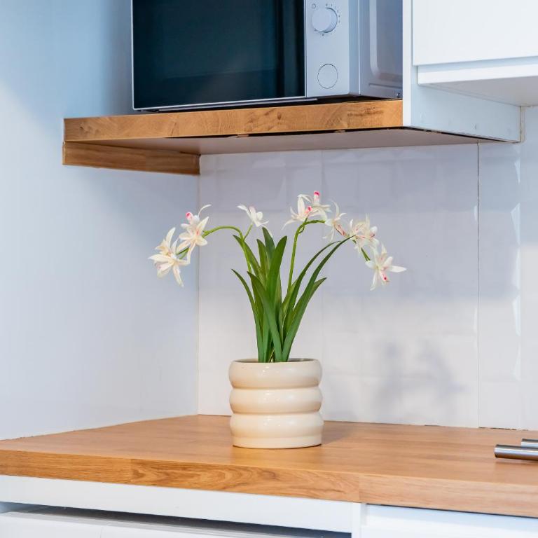 Cubo's Sea View Studio 100m from the Beach - Studio - 25