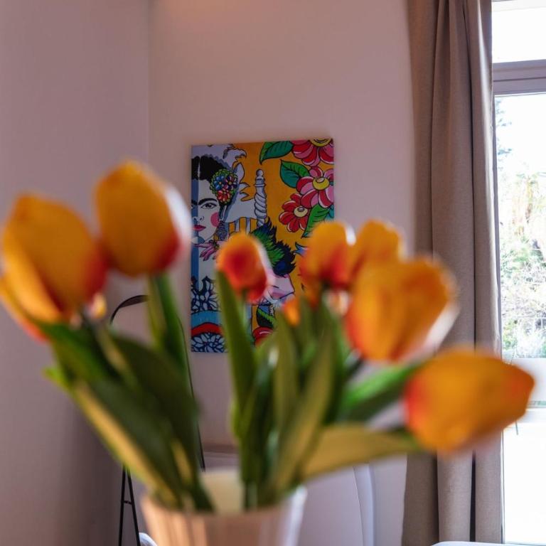 Des Bains Chambre & Suite - Junior Suite con Terrazza - 18