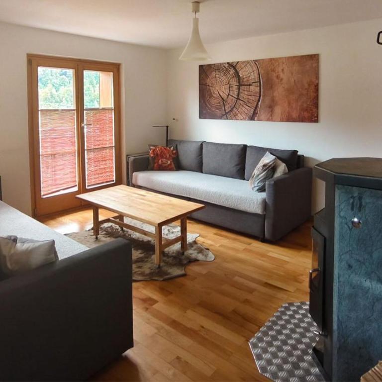 Conny's Lodge - Apartamento de 1 dormitorio con ducha - 43