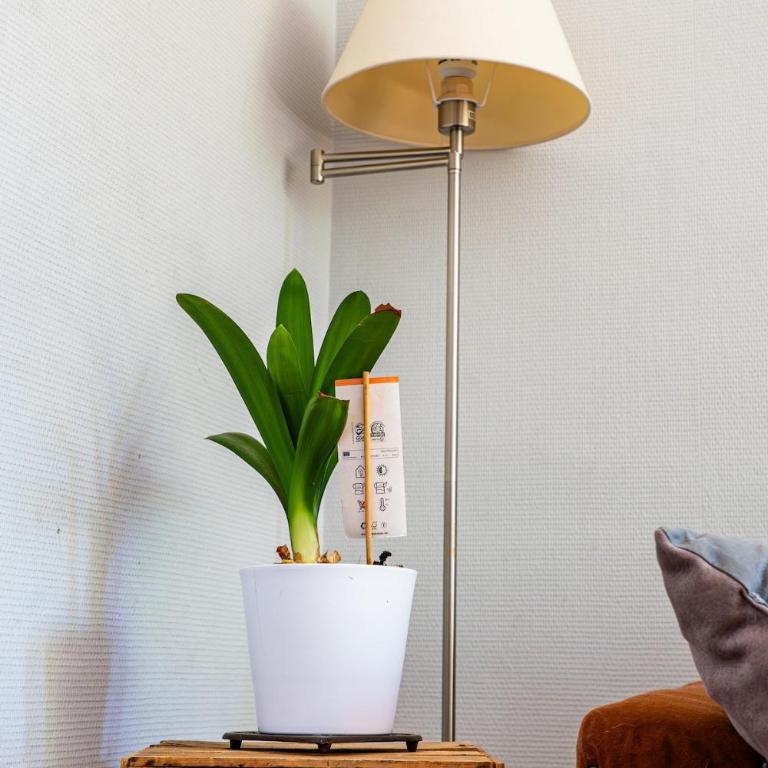 Le 5 Bis Foch - Appartement 2 Chambres - 49