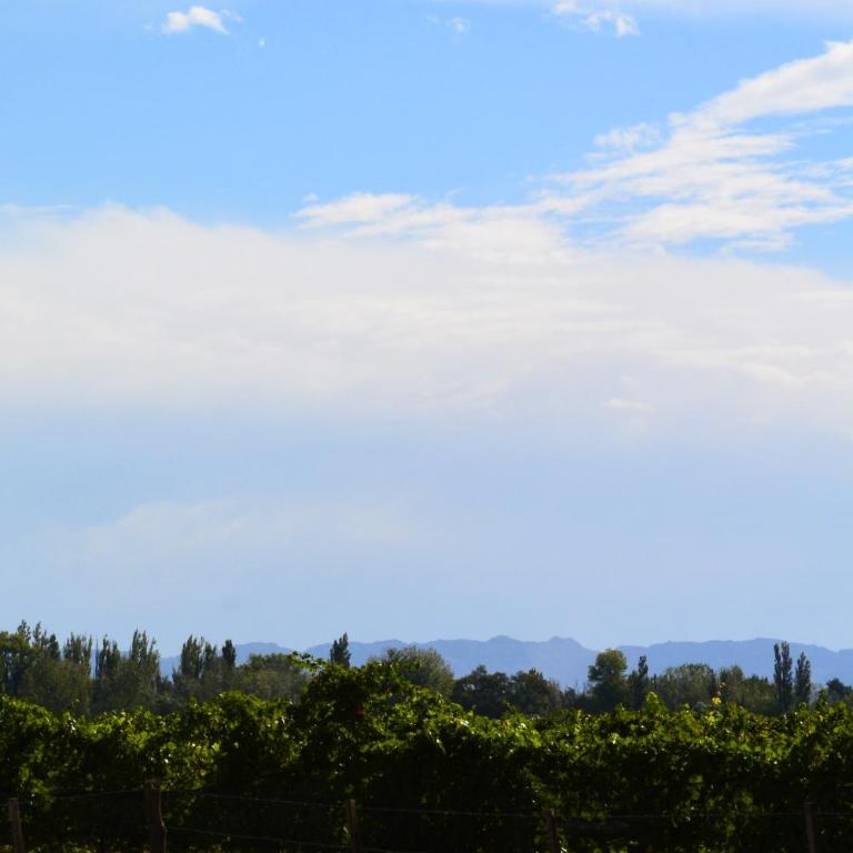 Ayres de Cuyo - Apartamento con vistas al jardín - 15