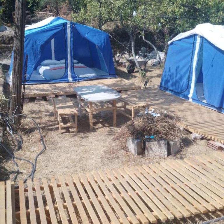 JelenaCamping - Tent - 3