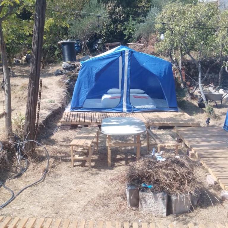 JelenaCamping - Tent - 4
