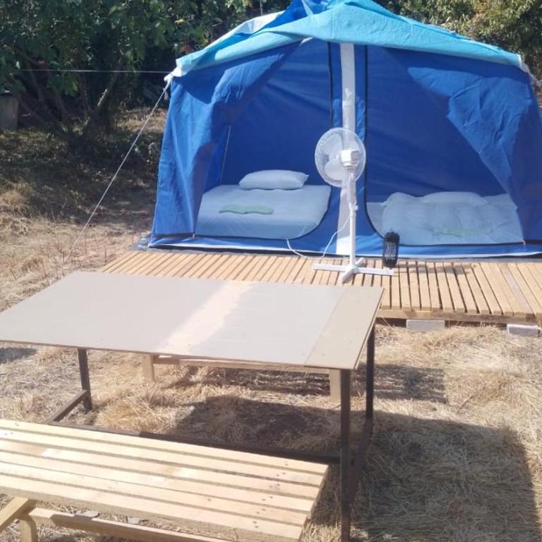 JelenaCamping - Tent - 3