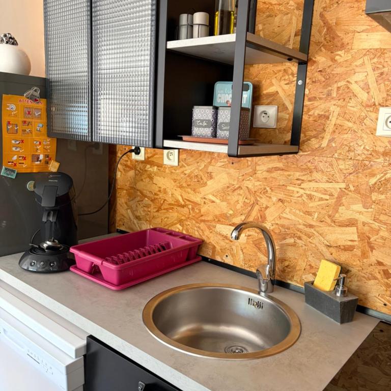 Appartement cosy avec jardin proche centre . - Appartement 1 Chambre - 16