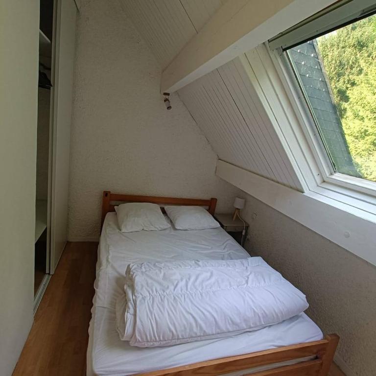 Cauterets Appart 4 pers - Appartement 2 Chambres - 15