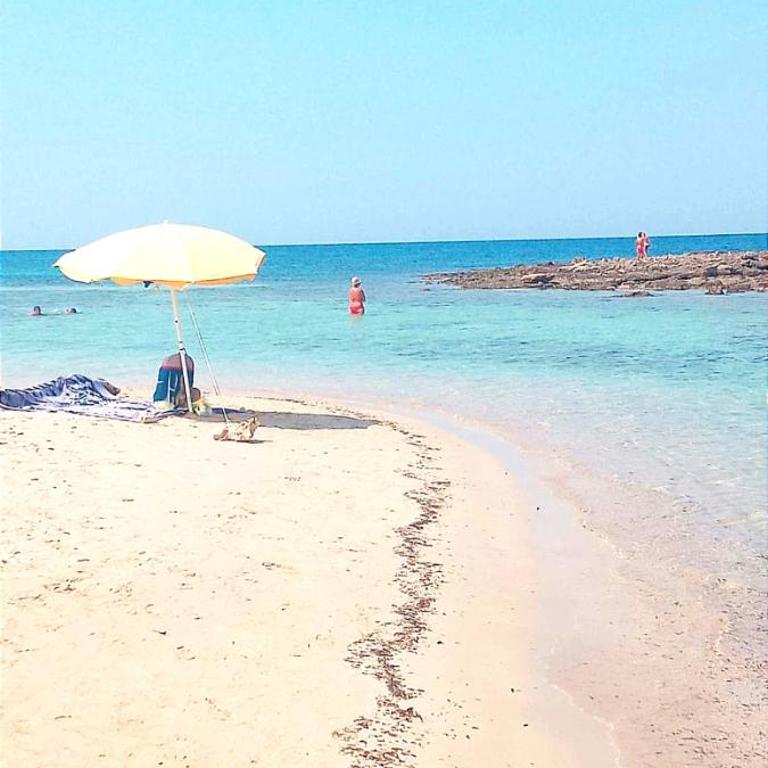 La Quercia Sul Mare - Appartamento con 1 Camera da Letto - 5