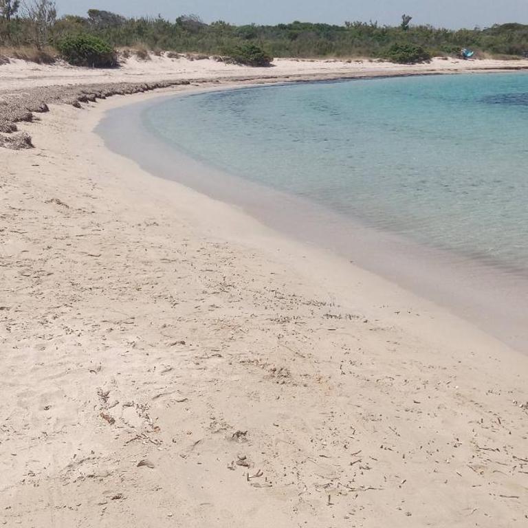 La Quercia Sul Mare - Appartamento con 1 Camera da Letto - 12