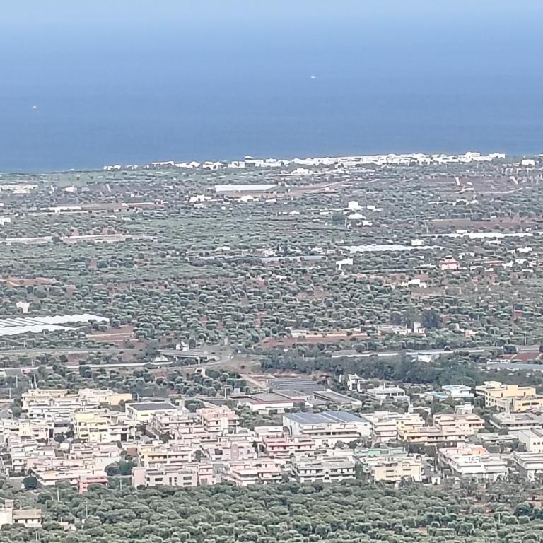La Quercia Sul Mare - Appartamento con 1 Camera da Letto - 15
