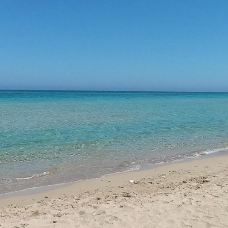 La Quercia Sul Mare - Appartamento con 1 Camera da Letto - 16