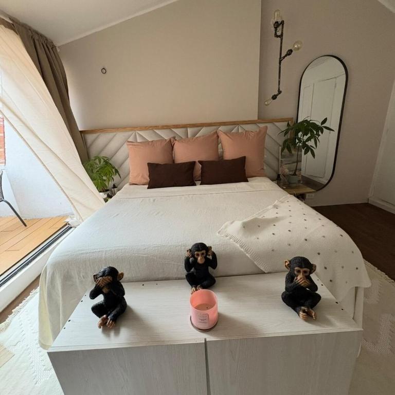 - Room #1714999301 - 2