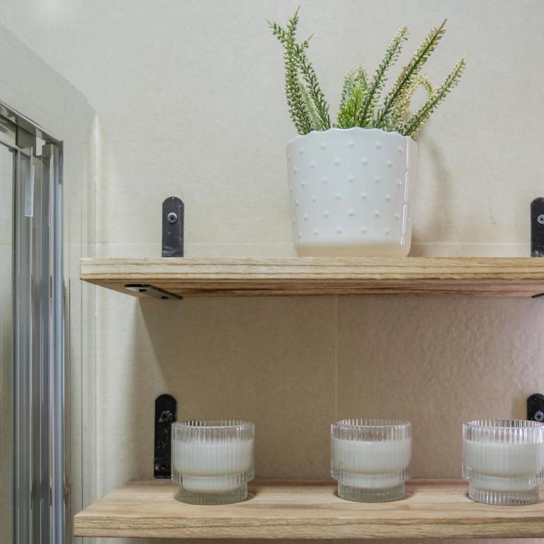 Oliva Apartments Molinillo - Standard Studio - 3