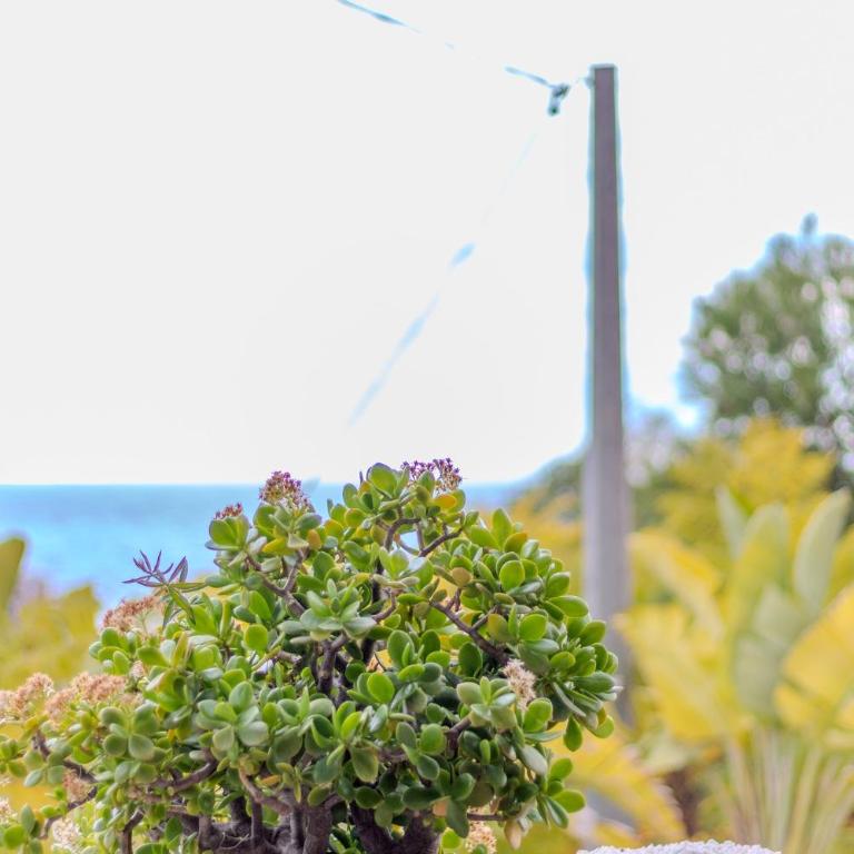 The Ocean Retreat - Beach Villa 30m next to the sea - Villa - 91