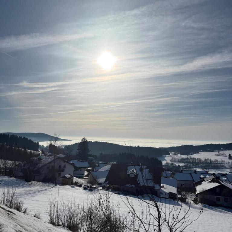 Stressless Forest inklusive Aktivkarte bayerische Wald - Apartment mit 2 Schlafzimmern - 10
