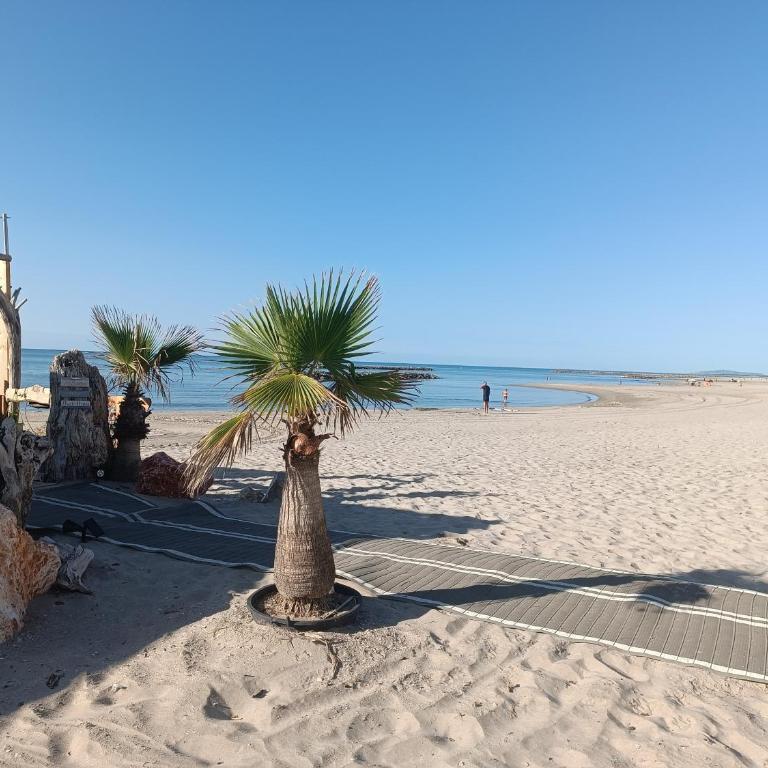 Comfortable Duplex Palavas-les-Flots Rive droite - Appartement 1 Chambre - 17