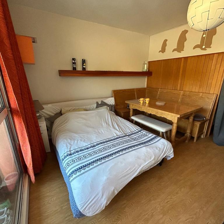 Pied des pistes, plein sud - Appartement 1 Chambre - 9
