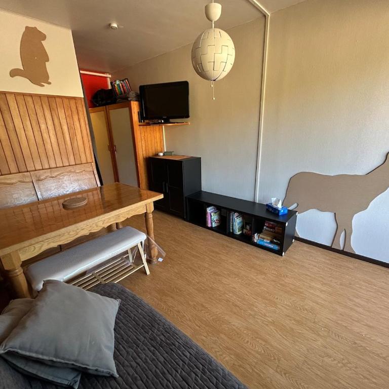Pied des pistes, plein sud - Appartement 1 Chambre - 8