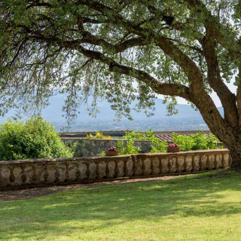 Villa Maionchi - Villa Deluxe - 26