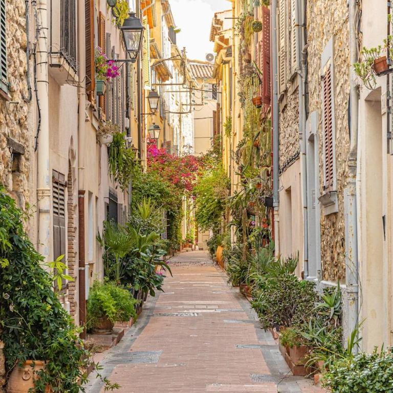 Phoenicia - Old Antibes - bright & air-conditioned - Appartement 1 Chambre - 23