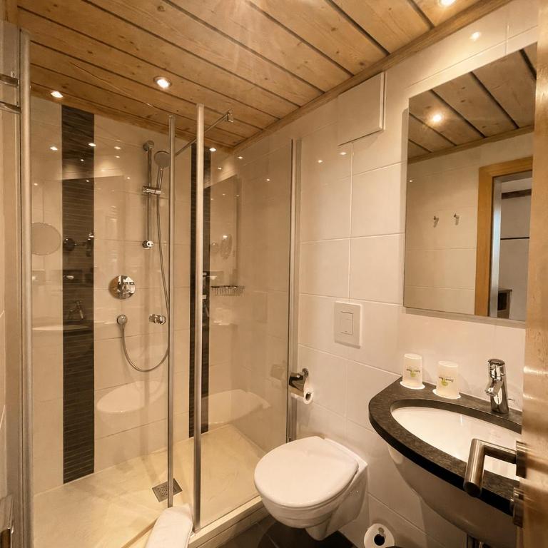 Hotel Grüner Baum - Standard Doppelzimmer - 5
