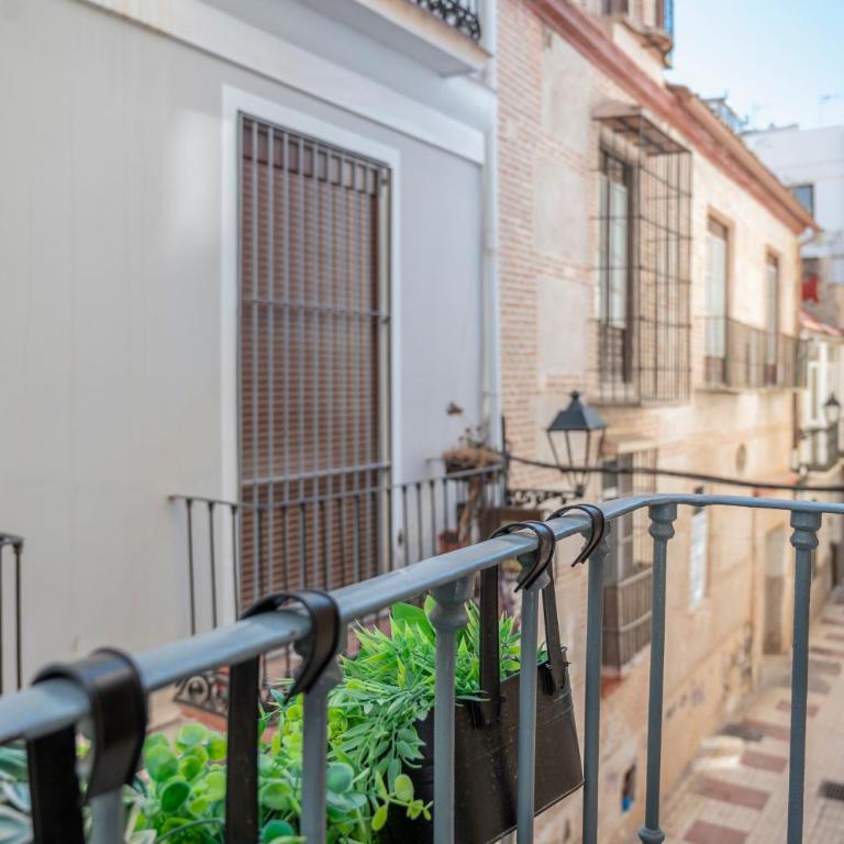Oliva Apartments Molinillo - One-Bedroom Apartment - 3