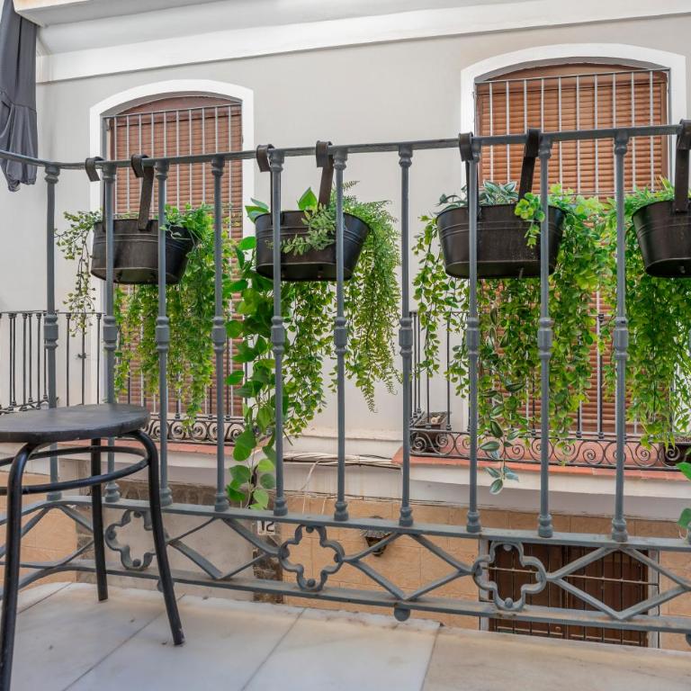Oliva Apartments Molinillo - One-Bedroom Apartment - 4