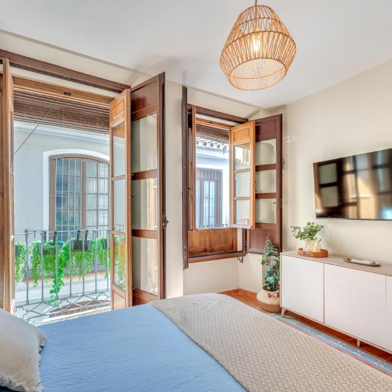 Oliva Apartments Molinillo - One-Bedroom Apartment - 1