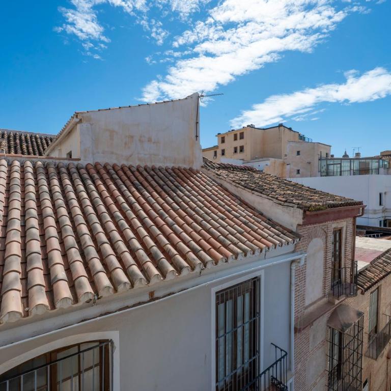 Oliva Apartments Molinillo - One-Bedroom Apartment - 18