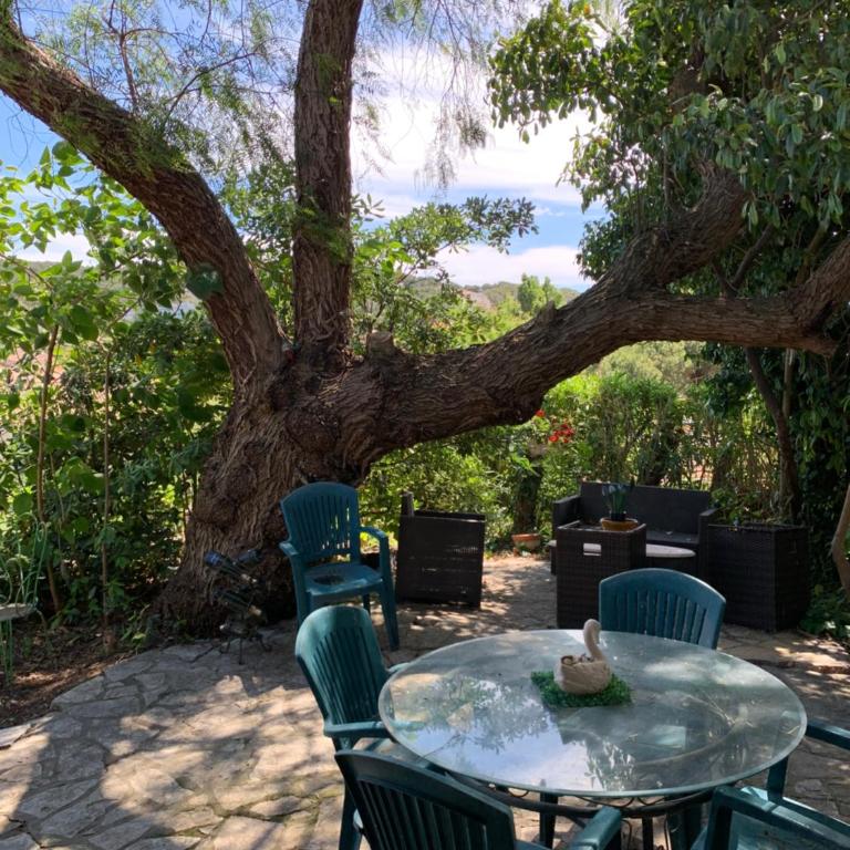 Belle maison provençal - Villa - 3