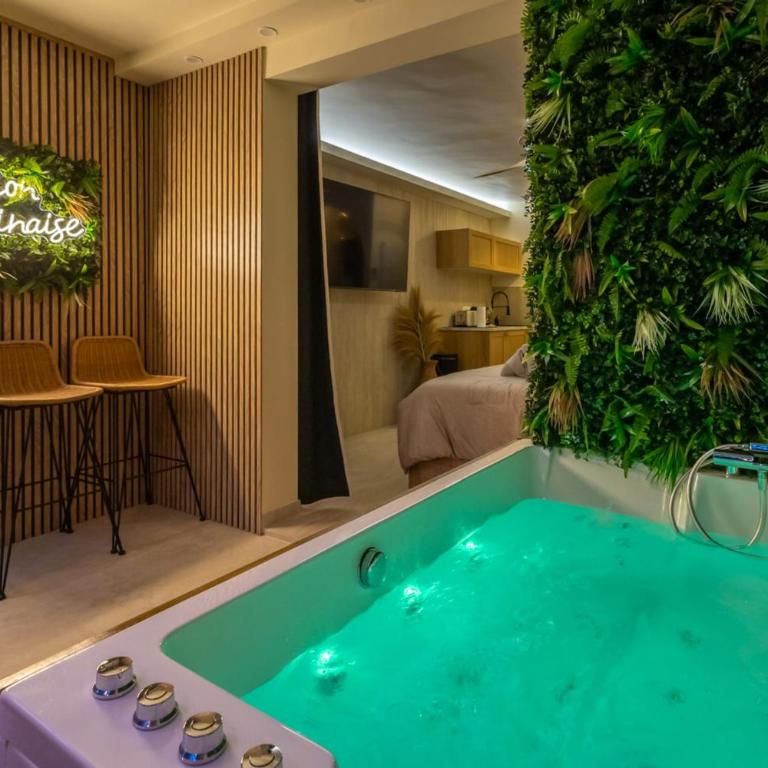 Suite Balinaise - Balnéo privée et Jardin Secret - Appartement - 3
