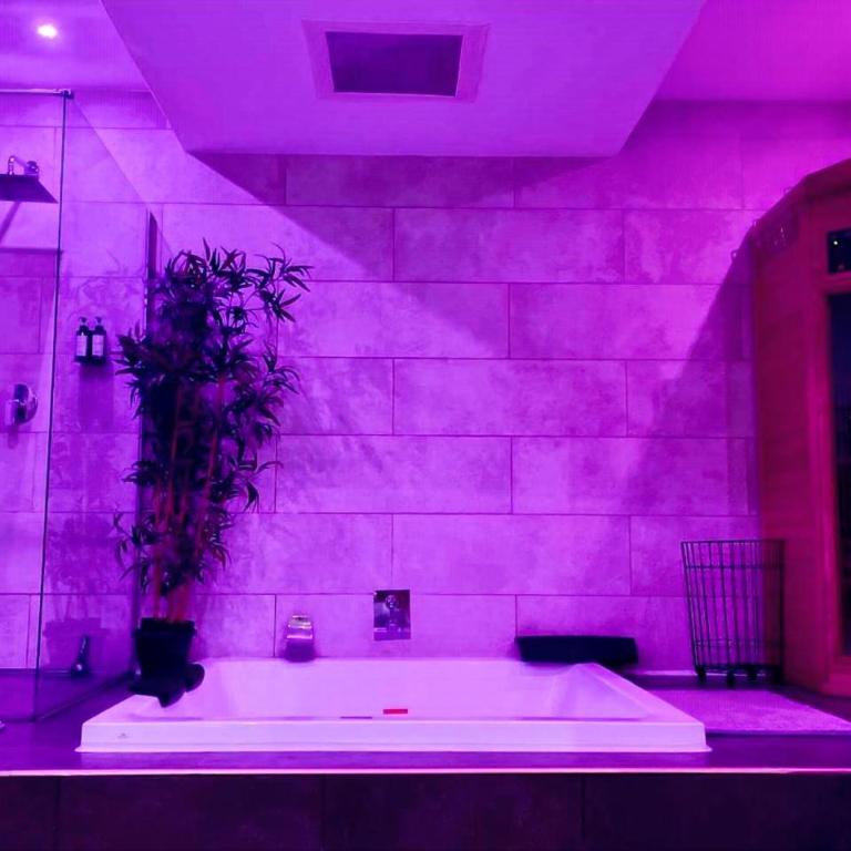 LOFT & SPA PRIVATIF - Deluxe Apartment - 2